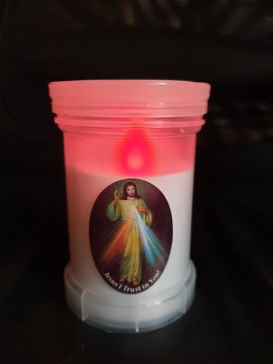 6190-DV White Grave Light 36/Ctn