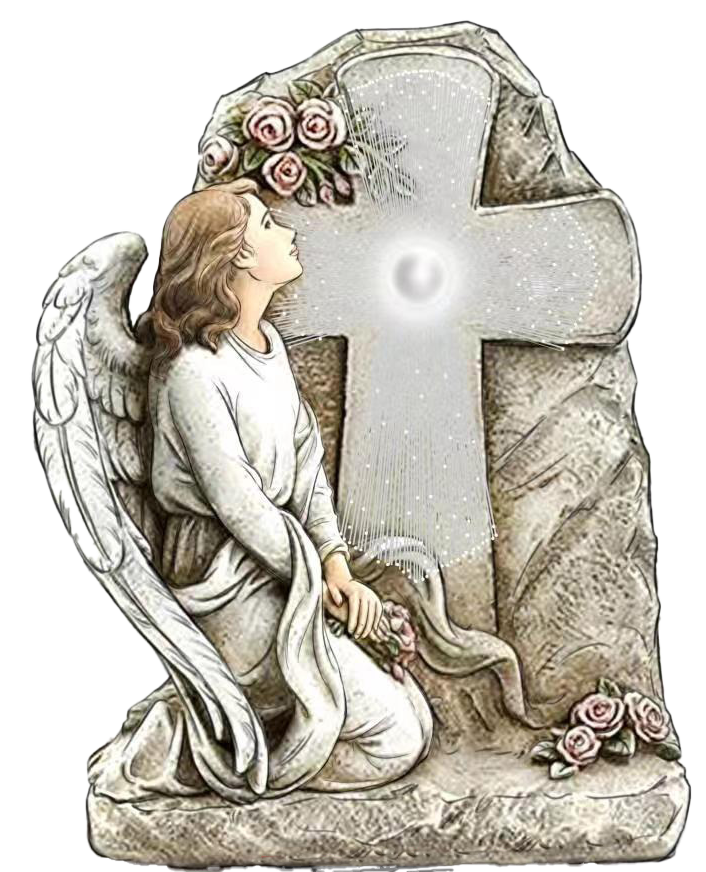 6208 Angel with Solar Cross 6/Ctn