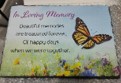 6225 ILM Butterfly Slate 6/ctn
