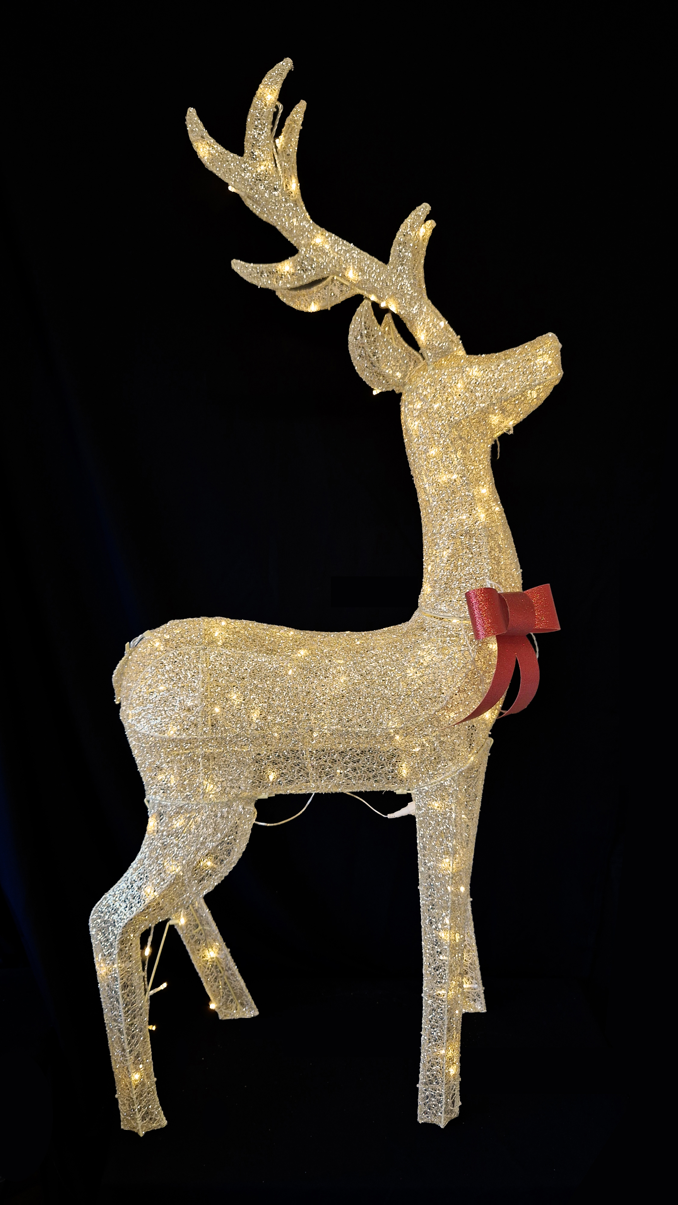 CH1235 Gold Buck 2/Ctn