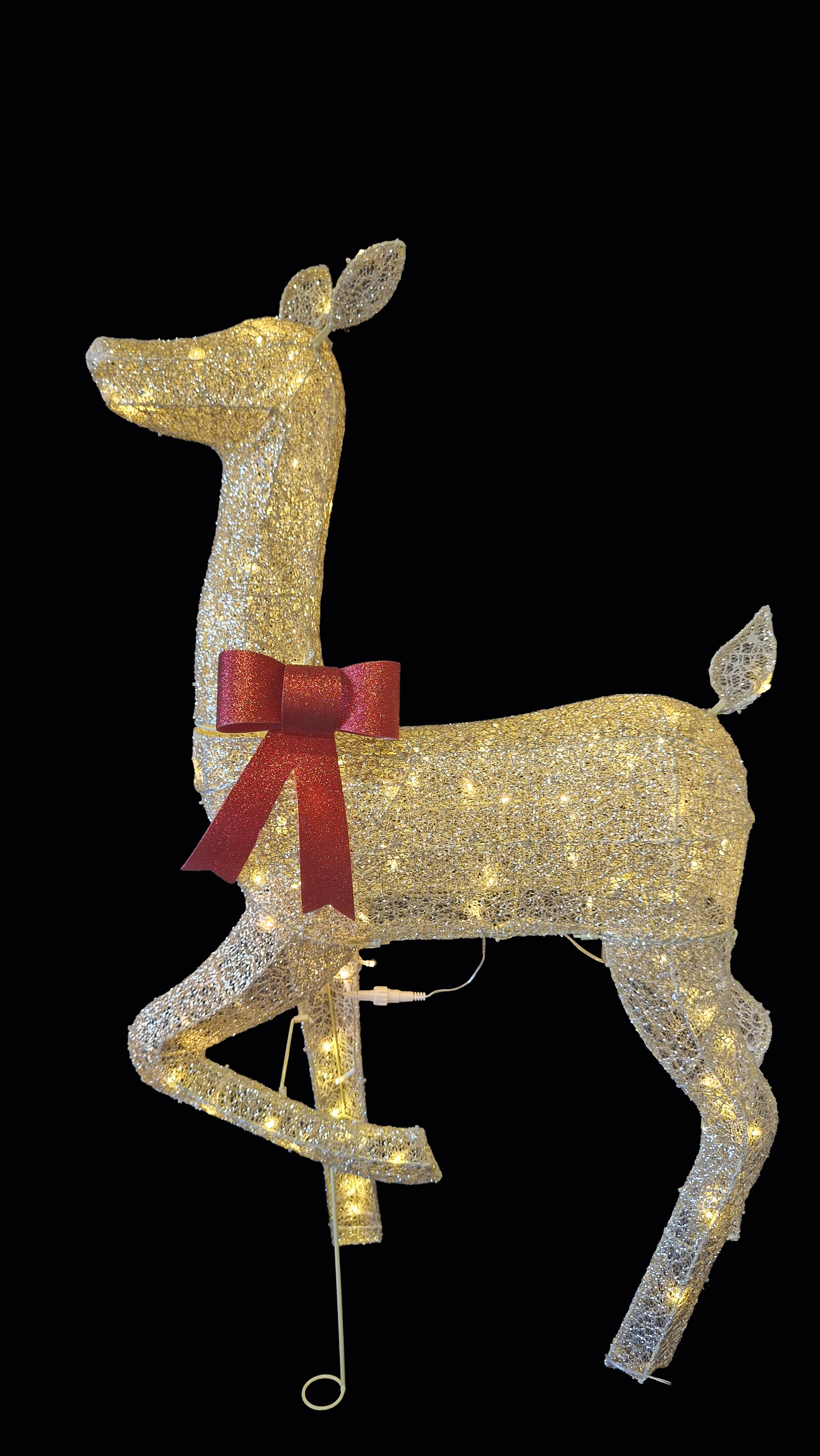 CH1236 Gold Doe 2/Ctn