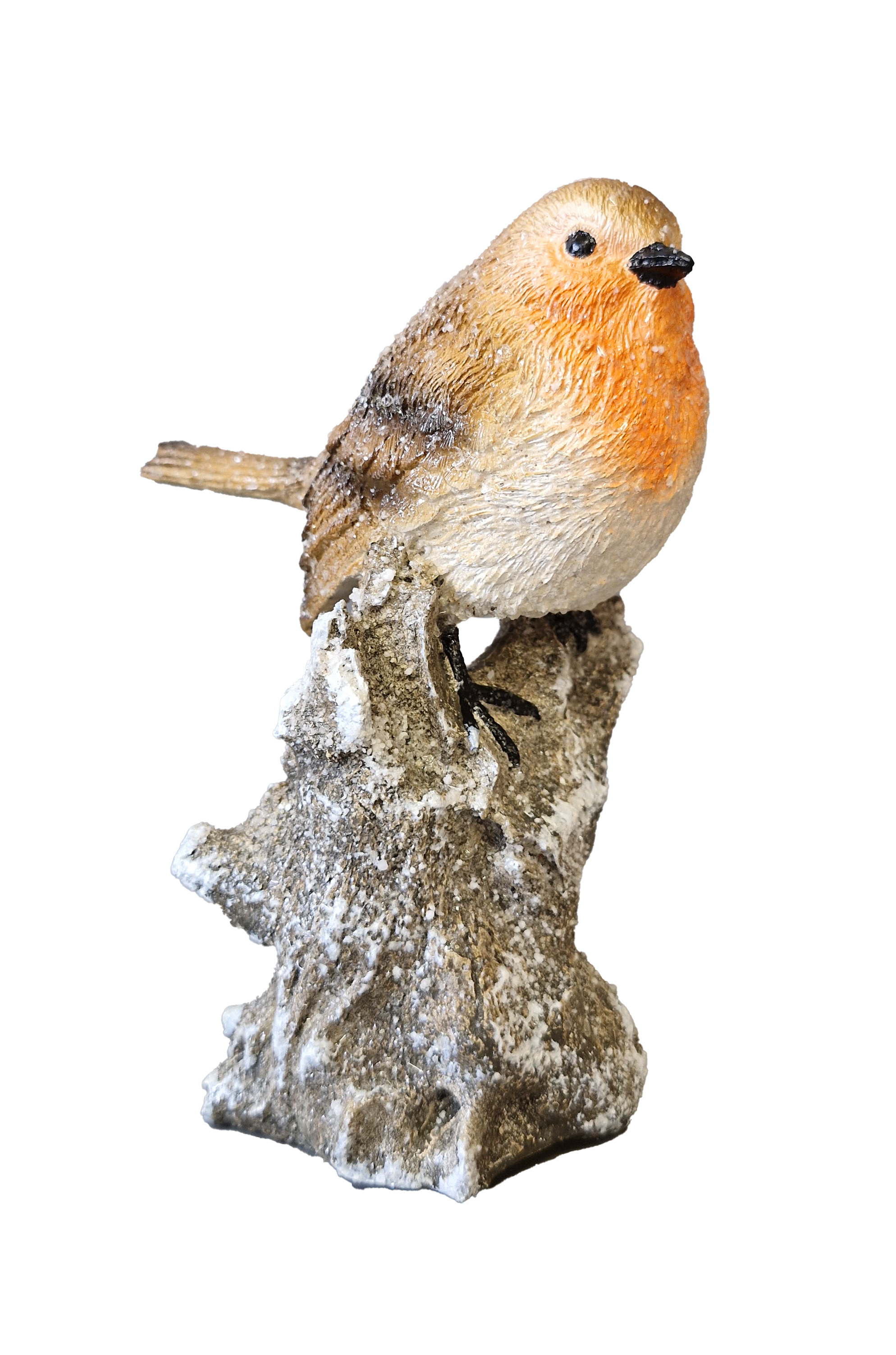 CH805 Robin on Log 24/Cnt