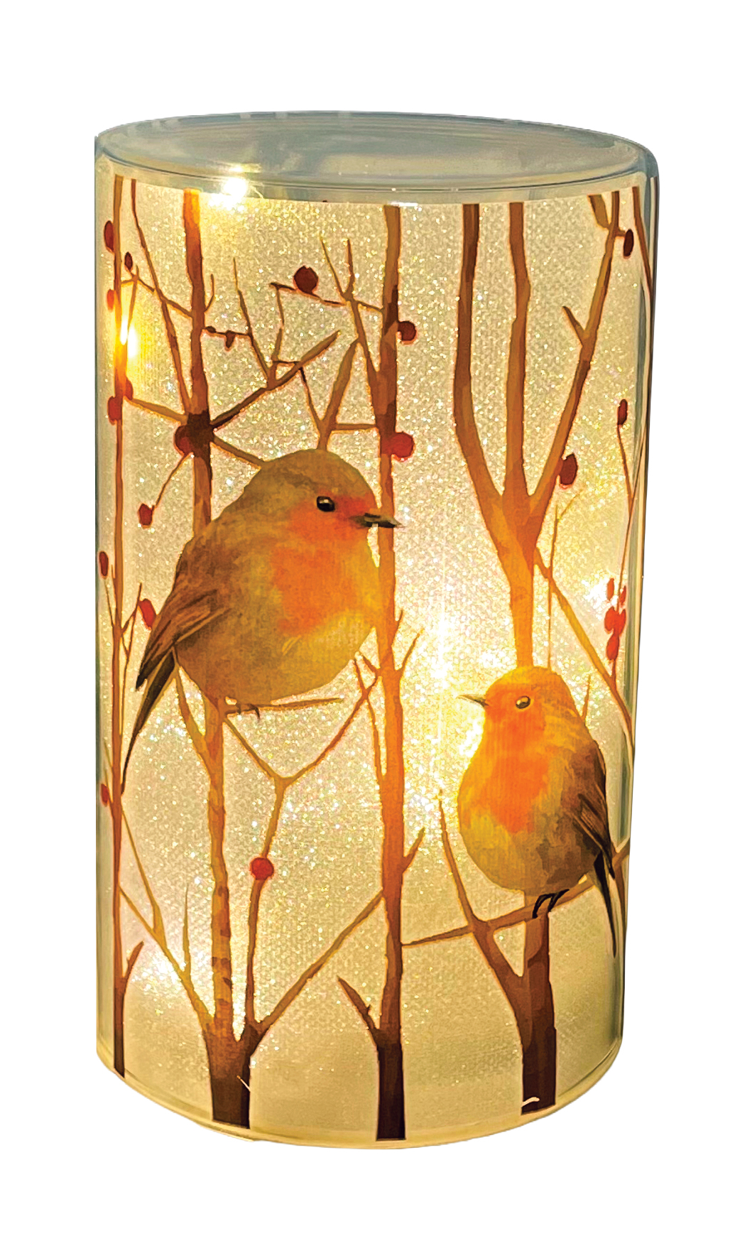 CH858 Lantern with Robins  24/Ctn