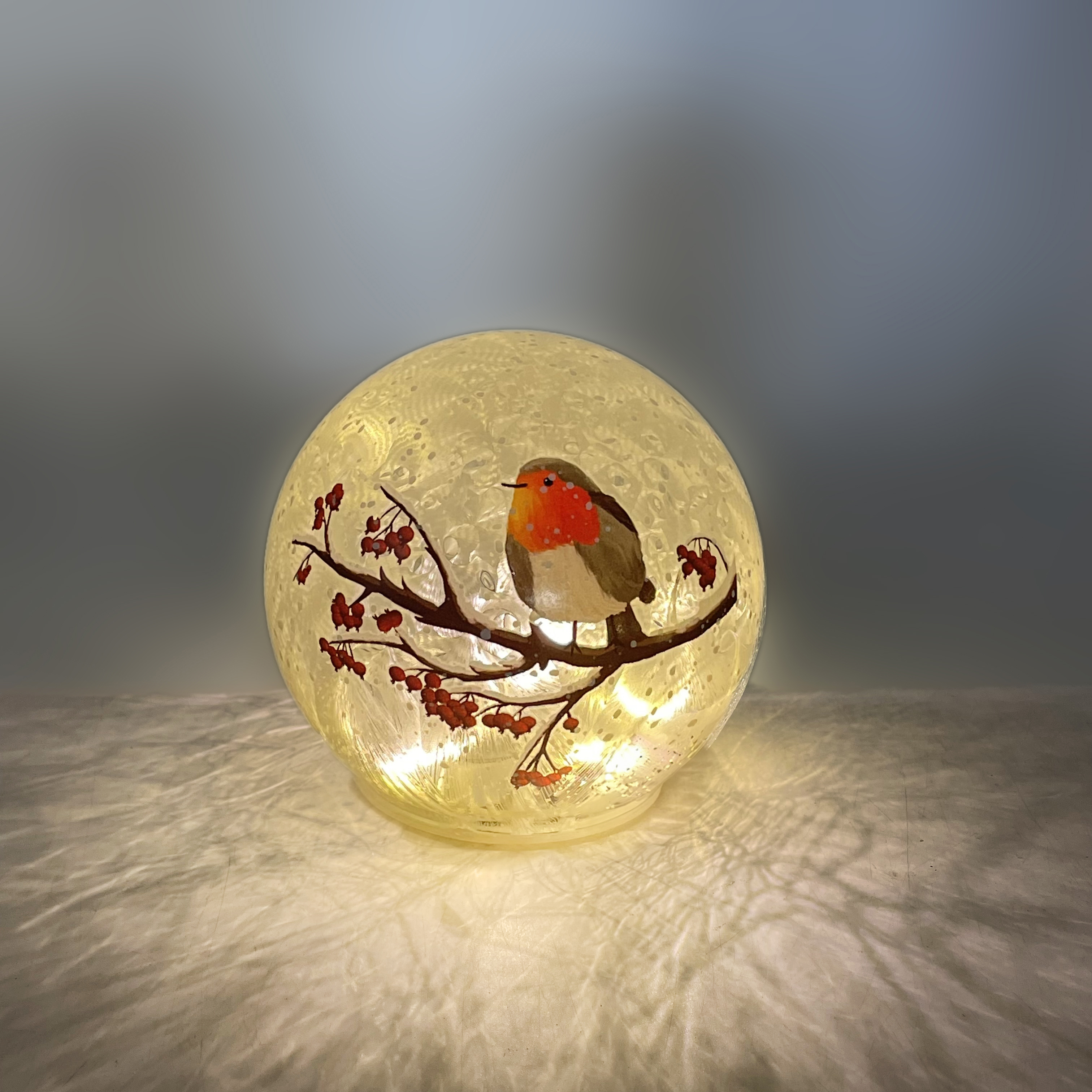 CH860 Robin in Frosted Globe 24/ctn