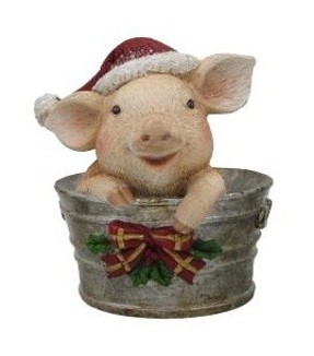 CH933 Pig in Bucket 36/Ctn