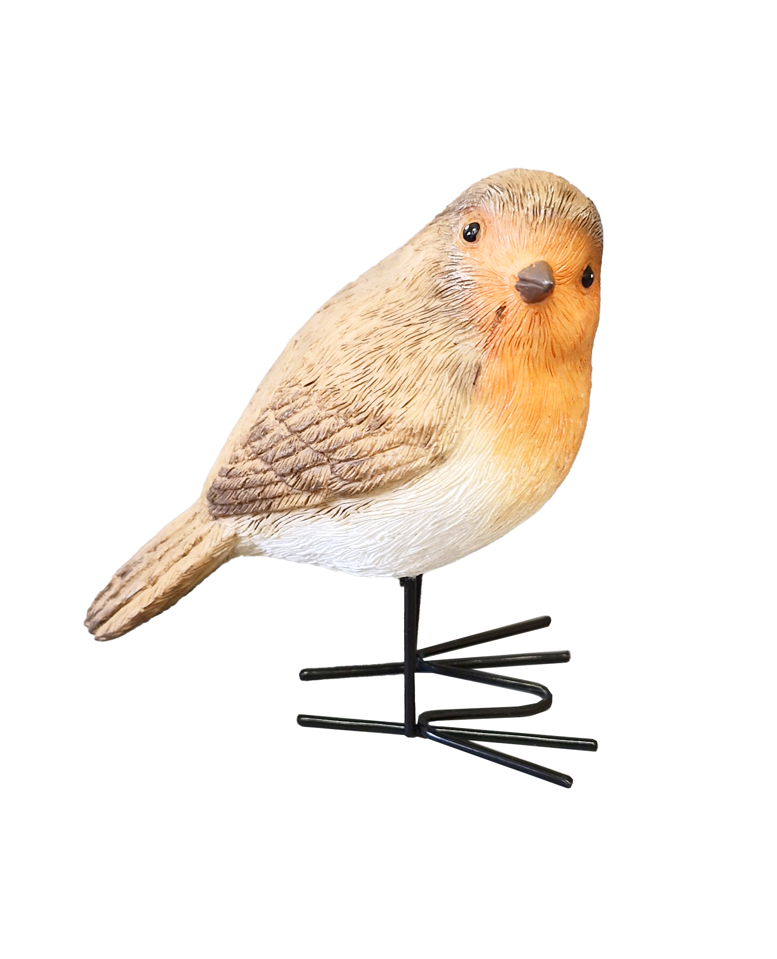 G0464 Robin Deco 48/Ctn