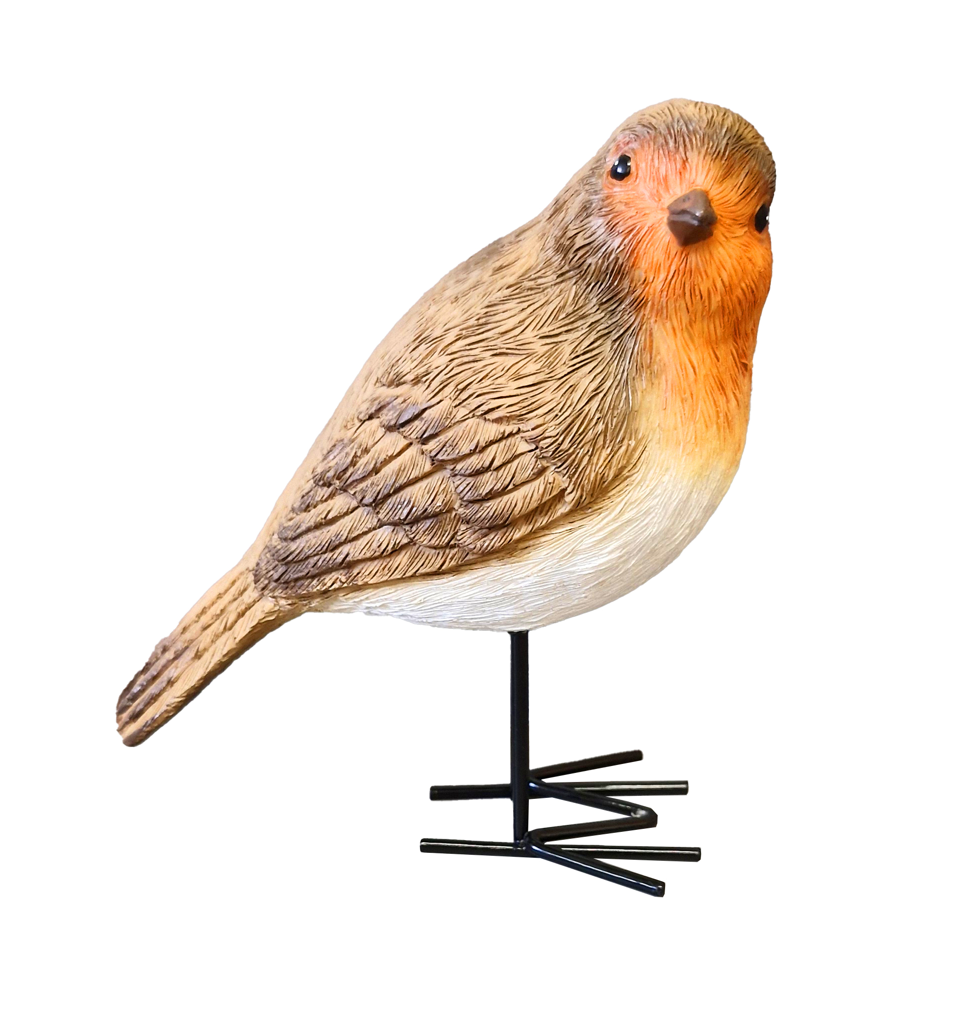 G0463 Robin Deco 48/Ctn