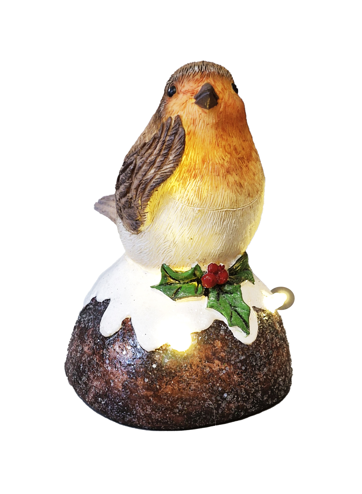CH938 Robin on Pudding 64/Ctn