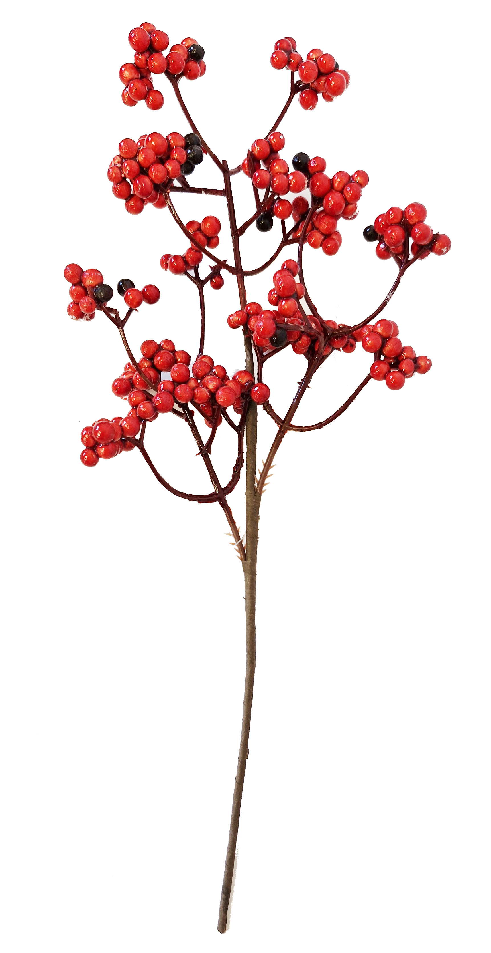 CH951 Frosted Red Berry Branch 24/Ctn only