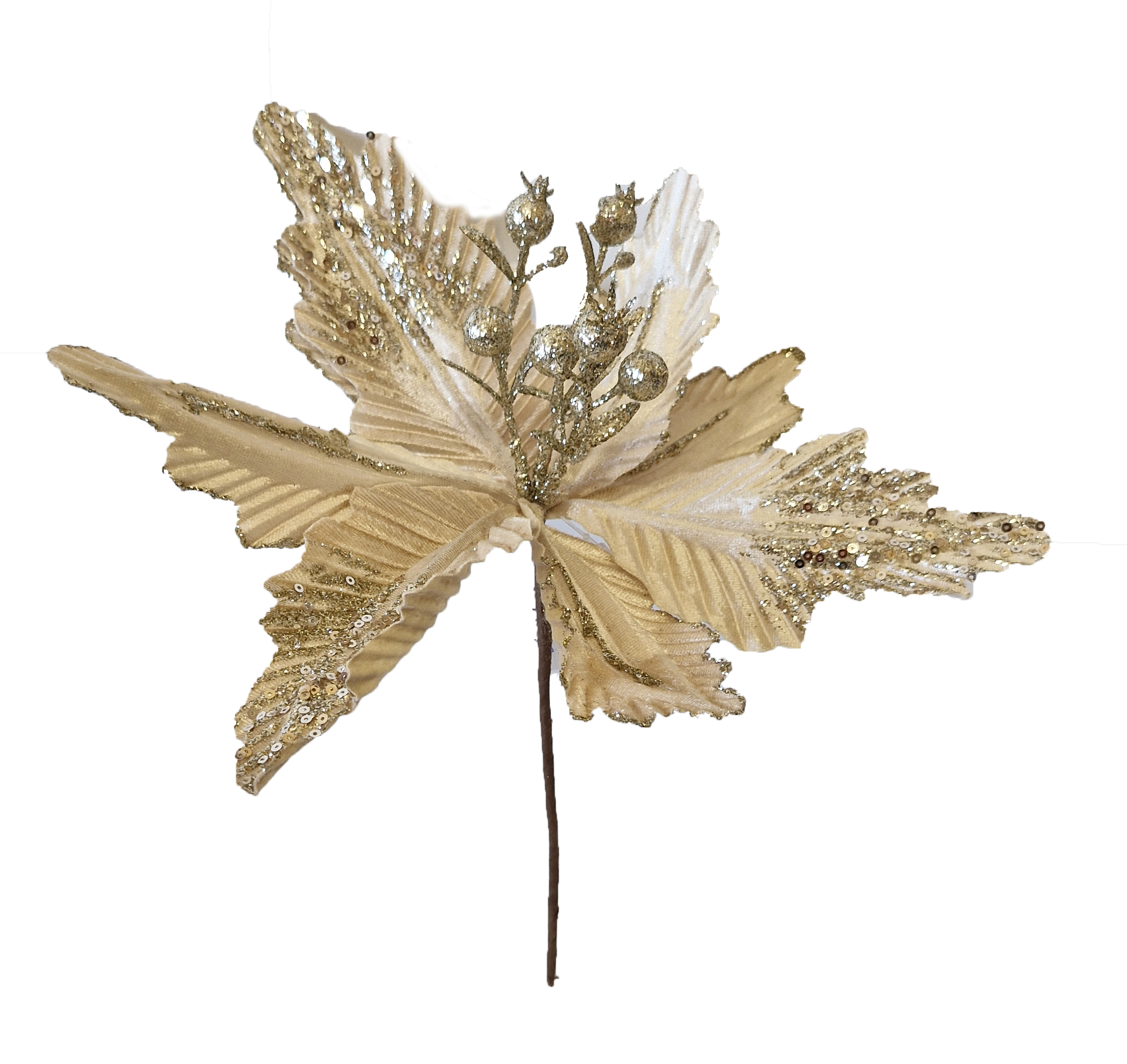 CH952 Gold Poinsettia 24/Ctn only