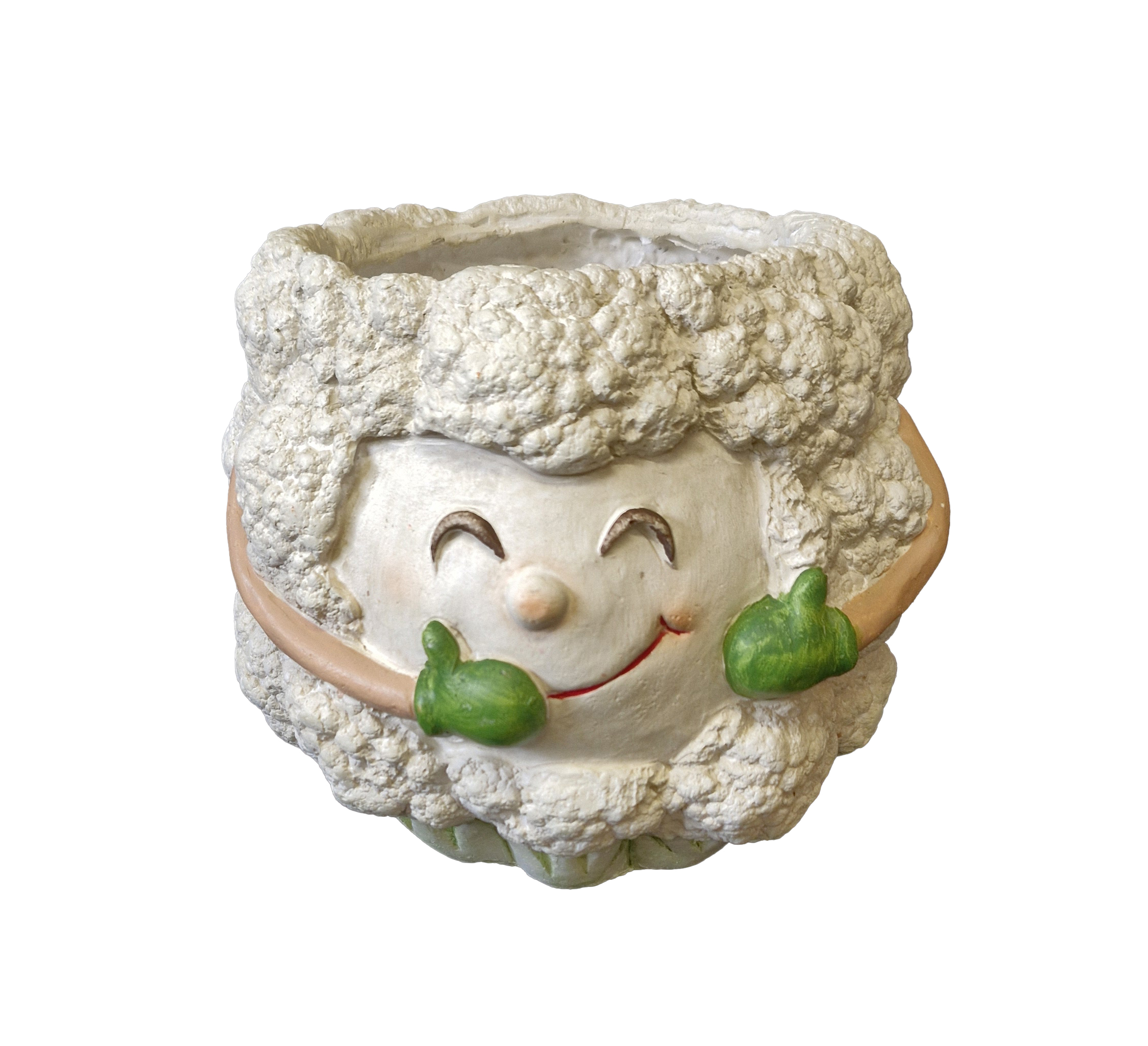 G0453 Cauliflower Planter 6/Ctn