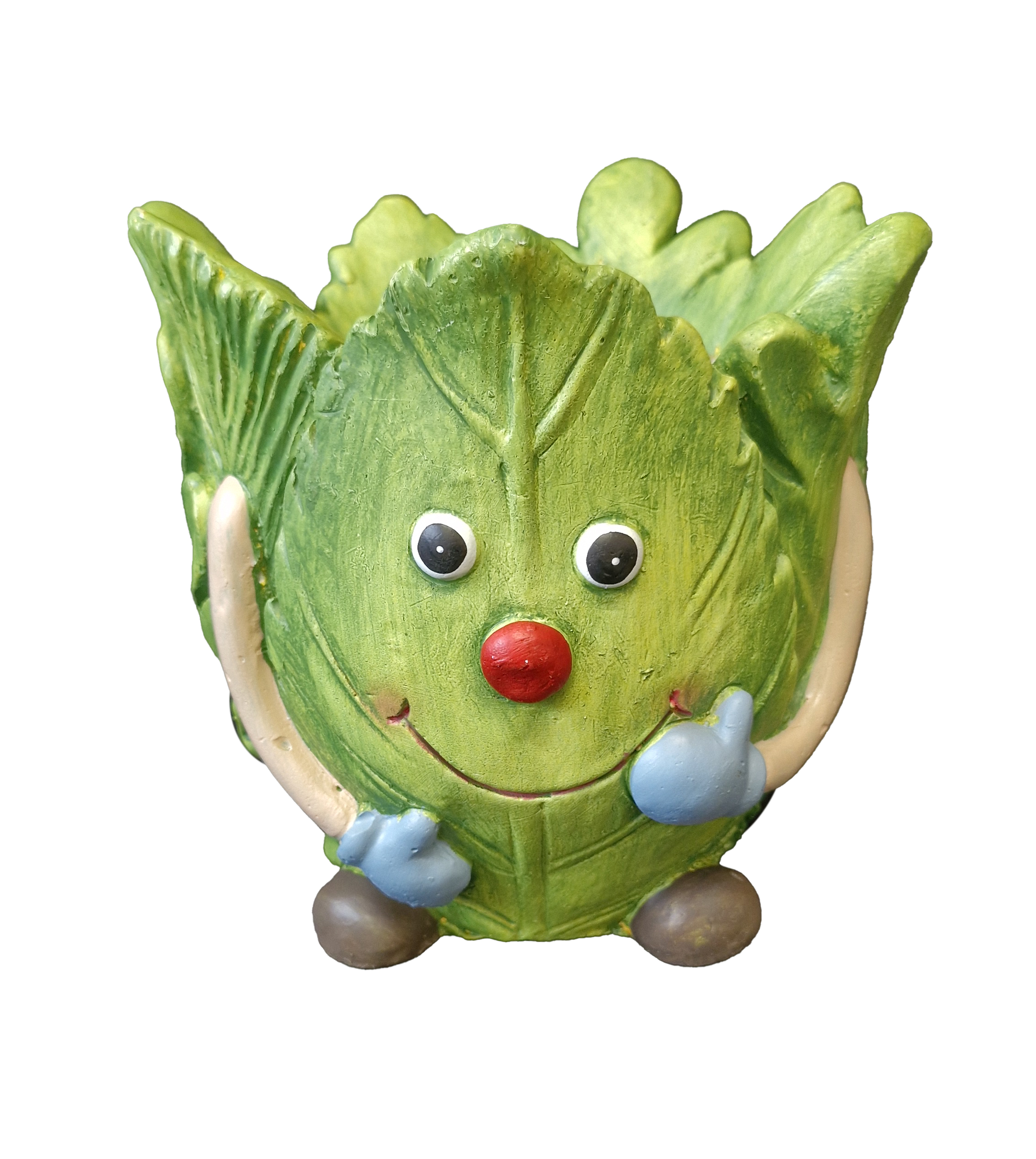 G0454 Lettuce Planter 6/Ctn
