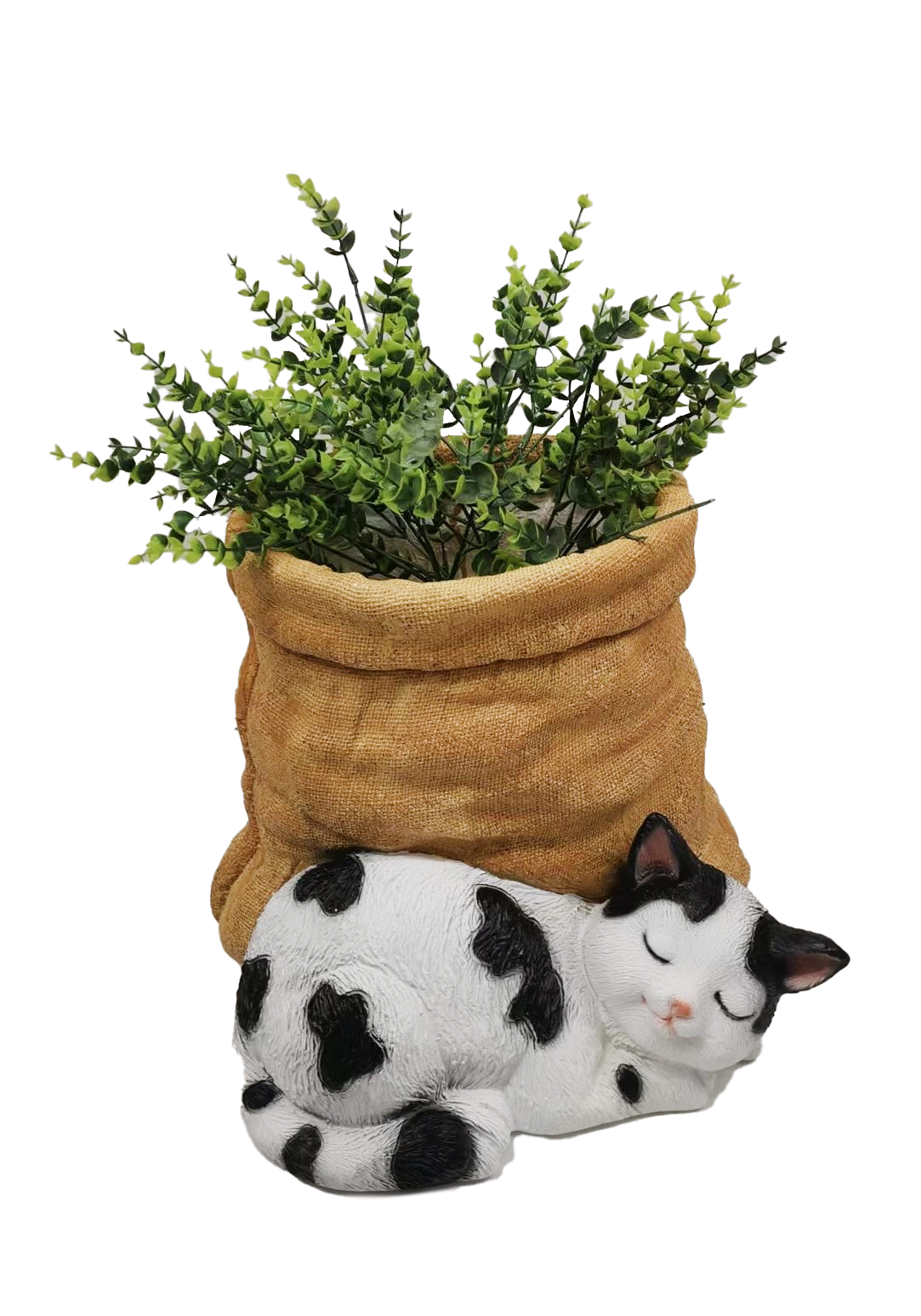 G0472 Sleeping Cat 2/Ctn