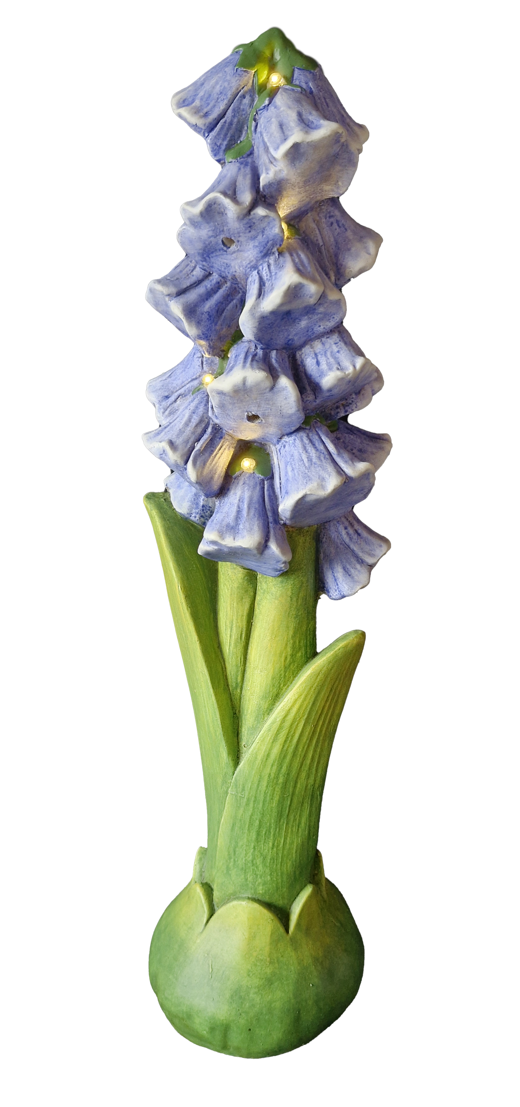 G0478 Bluebell Solar 1/Ctn
