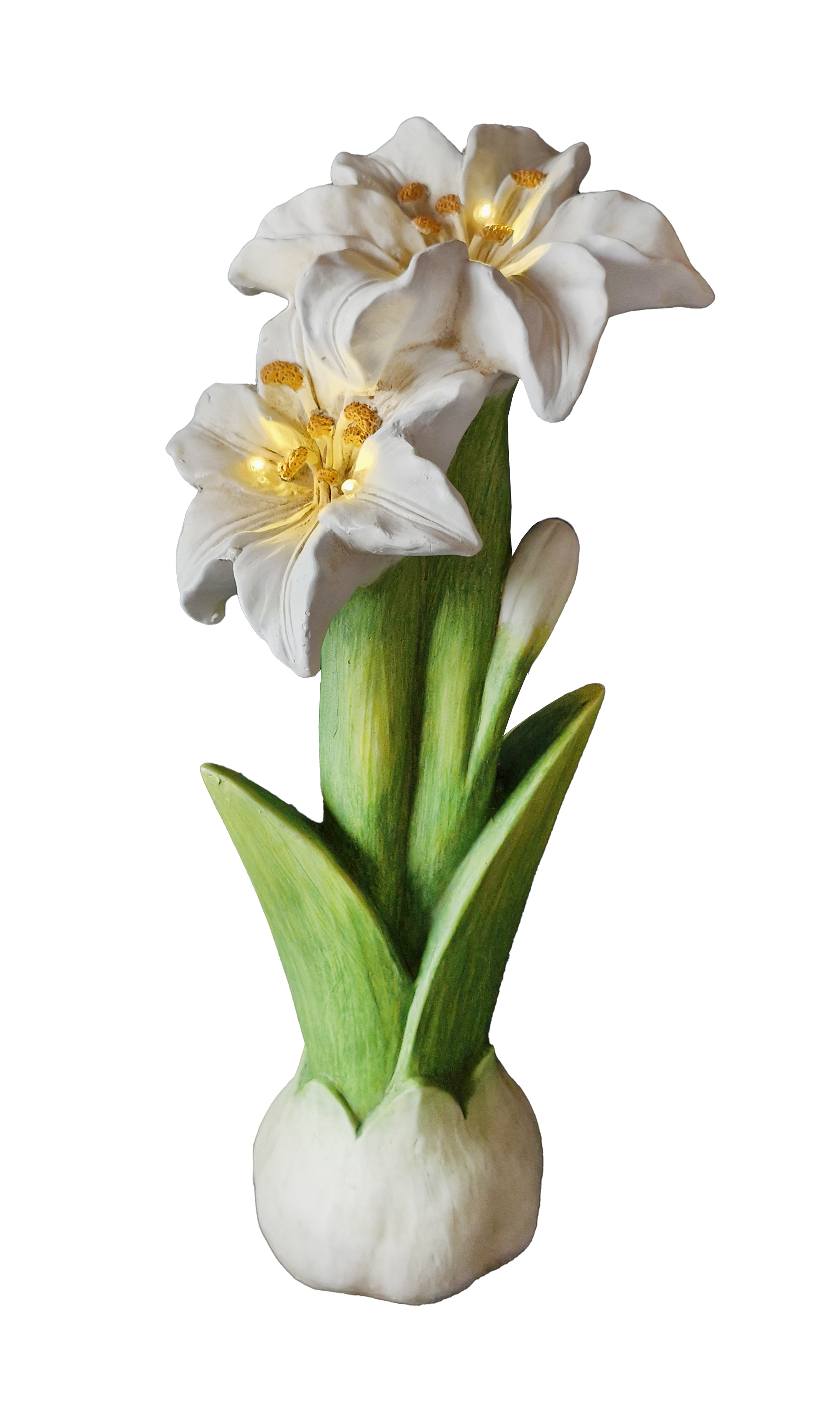G0479 Lily Solar 1/Ctn